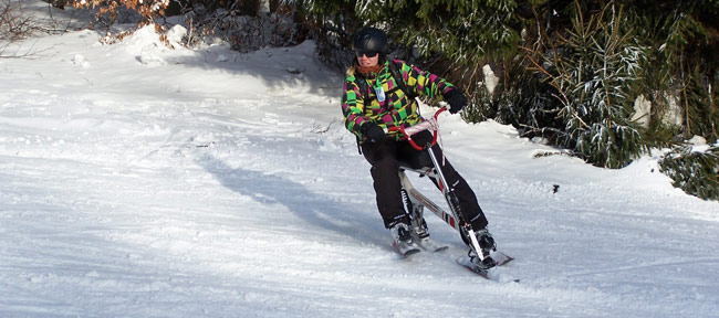 Skibob - výroba a prodej skibobů z vybraných komponentů na mírů.